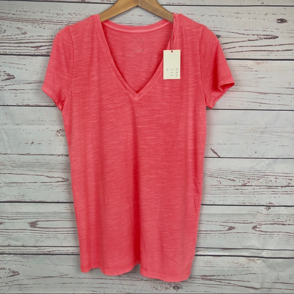 🎁A NEW DAY💖 Pink V-Neck Size Large